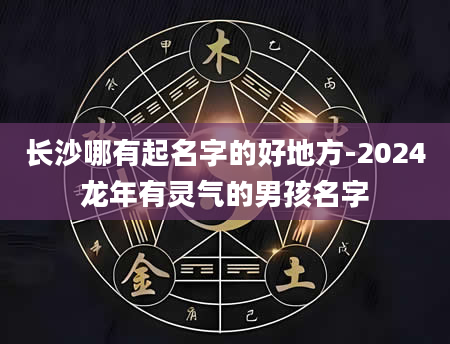 长沙哪有起名字的好地方-2024龙年有灵气的男孩名字