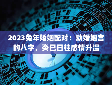 2023兔年婚姻配对：动婚姻宫的八字，癸巳日柱感情升温