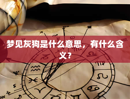 梦见灰狗是什么意思，有什么含义？