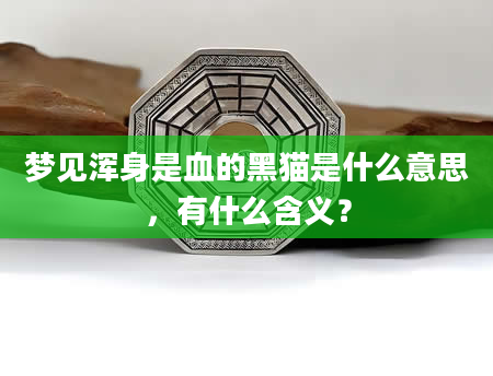 梦见浑身是血的黑猫是什么意思，有什么含义？