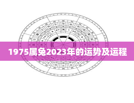 1975属兔2023年的运势及运程