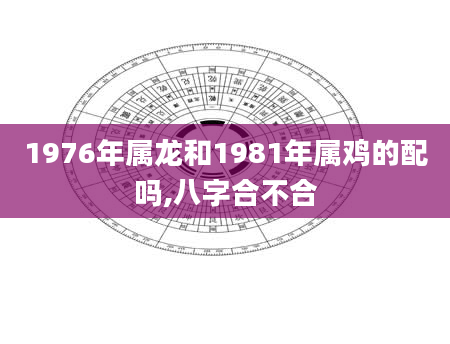 1976年属龙和1981年属鸡的配吗,八字合不合