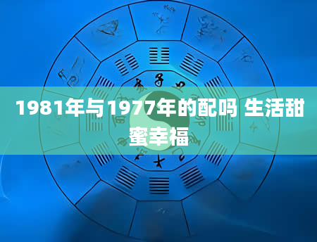 1981年与1977年的配吗 生活甜蜜幸福