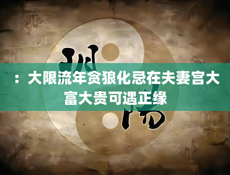 ：大限流年贪狼化忌在夫妻宫大富大贵可遇正缘