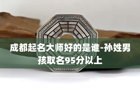 成都起名大师好的是谁-孙姓男孩取名95分以上