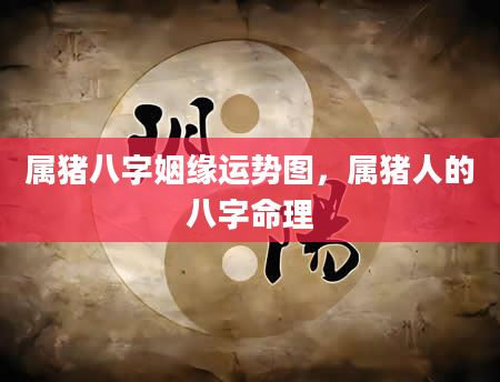 属猪八字姻缘运势图，属猪人的八字命理