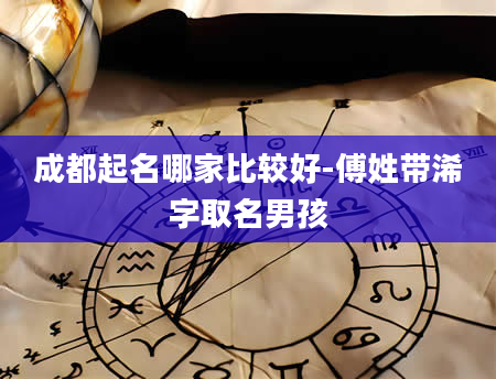 成都起名哪家比较好-傅姓带浠字取名男孩