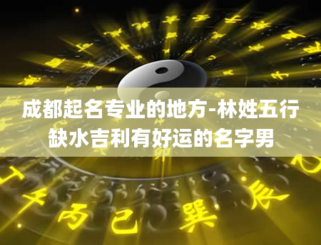 成都起名专业的地方-林姓五行缺水吉利有好运的名字男