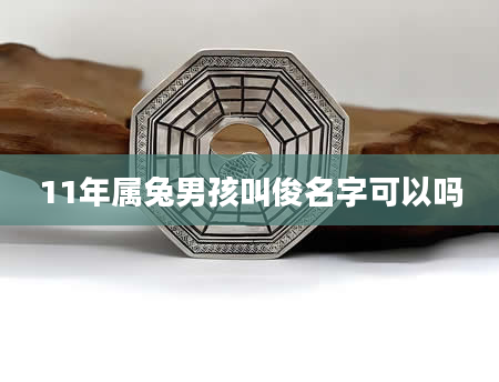 11年属兔男孩叫俊名字可以吗