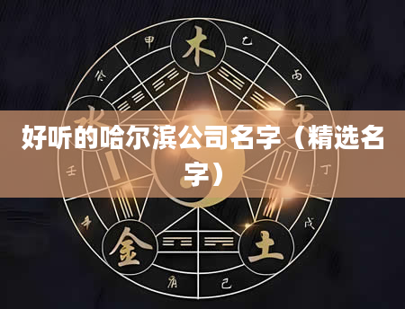 好听的哈尔滨公司名字（精选名字）