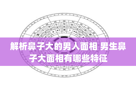 解析鼻子大的男人面相 男生鼻子大面相有哪些特征