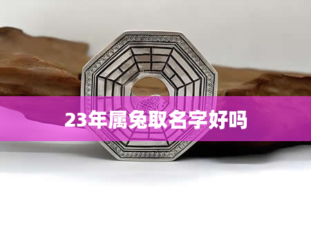 23年属兔取名字好吗