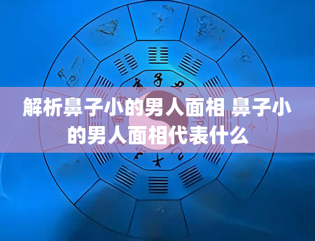 解析鼻子小的男人面相 鼻子小的男人面相代表什么