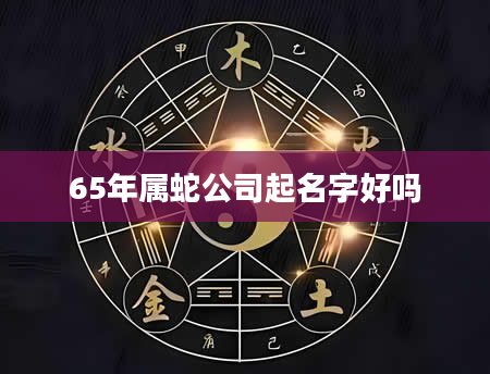65年属蛇公司起名字好吗