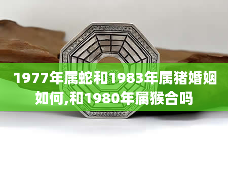 1977年属蛇和1983年属猪婚姻如何,和1980年属猴合吗