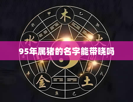 95年属猪的名字能带晓吗