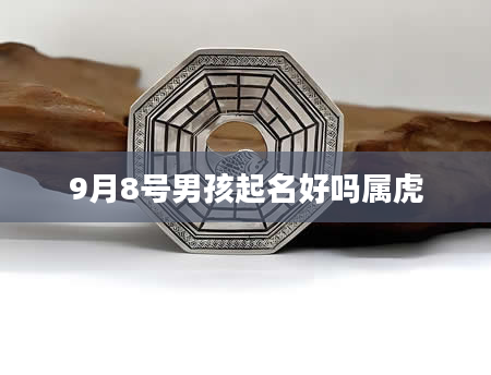 9月8号男孩起名好吗属虎