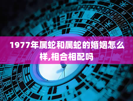 1977年属蛇和属蛇的婚姻怎么样,相合相配吗