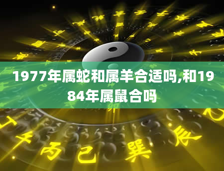 1977年属蛇和属羊合适吗,和1984年属鼠合吗