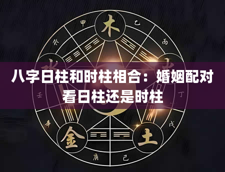 八字日柱和时柱相合：婚姻配对看日柱还是时柱