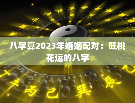 八字算2023年婚姻配对：旺桃花运的八字