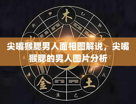 尖嘴猴腮男人面相图解说，尖嘴猴腮的男人图片分析