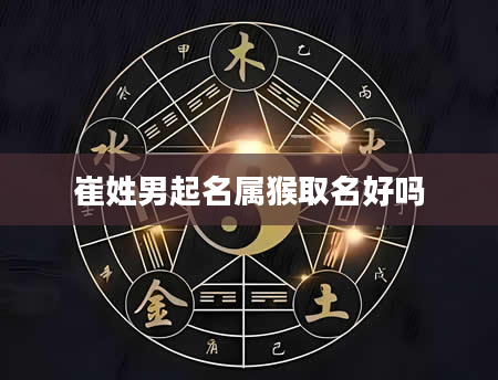 崔姓男起名属猴取名好吗