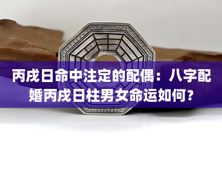 丙戌日命中注定的配偶：八字配婚丙戌日柱男女命运如何？