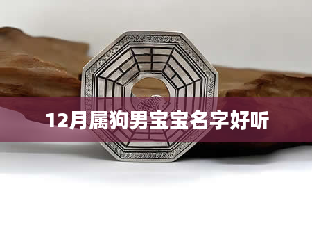 12月属狗男宝宝名字好听