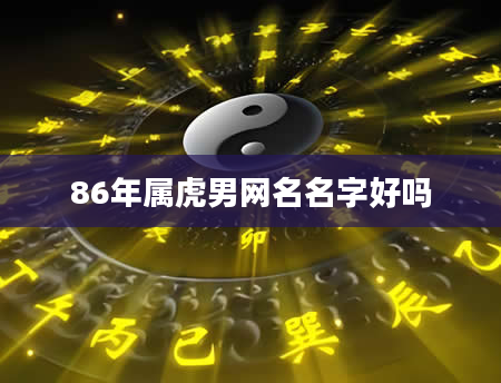 86年属虎男网名名字好吗