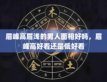 眉峰高眉浅的男人面相好吗，眉峰高好看还是低好看