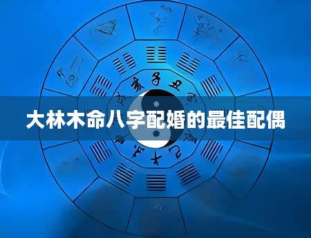 大林木命八字配婚的最佳配偶