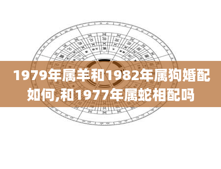 1979年属羊和1982年属狗婚配如何,和1977年属蛇相配吗