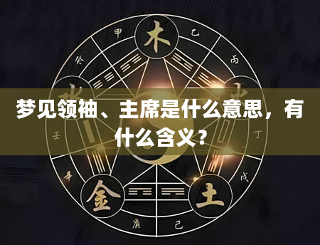 梦见领袖、主席是什么意思，有什么含义？