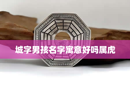 城字男孩名字寓意好吗属虎