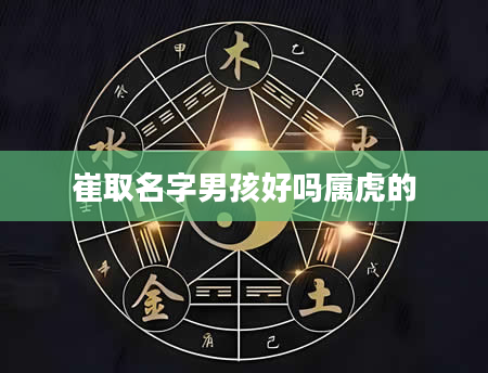 崔取名字男孩好吗属虎的
