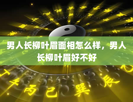 男人长柳叶眉面相怎么样，男人长柳叶眉好不好