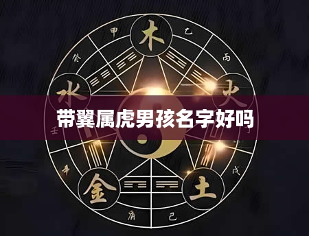 带翼属虎男孩名字好吗