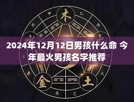 2024年12月12日男孩什么命 今年最火男孩名字推荐