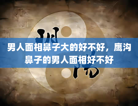男人面相鼻子大的好不好，鹰沟鼻子的男人面相好不好