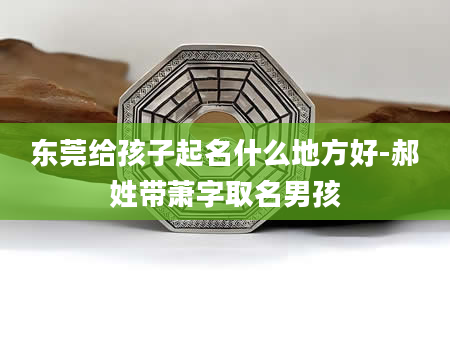 东莞给孩子起名什么地方好-郝姓带萧字取名男孩