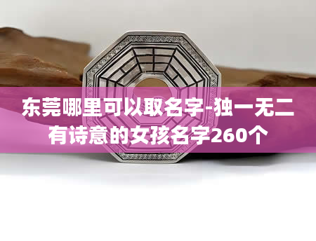 东莞哪里可以取名字-独一无二有诗意的女孩名字260个