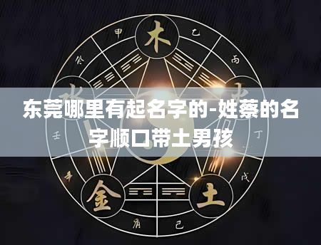 东莞哪里有起名字的-姓蔡的名字顺口带土男孩