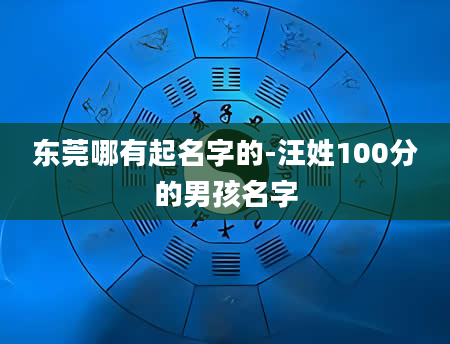东莞哪有起名字的-汪姓100分的男孩名字