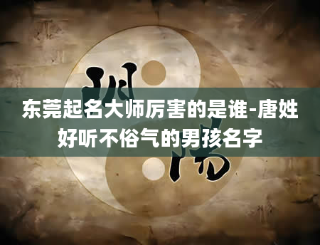 东莞起名大师厉害的是谁-唐姓好听不俗气的男孩名字