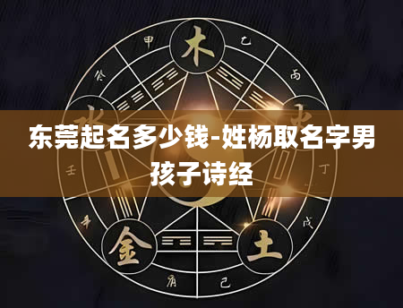 东莞起名多少钱-姓杨取名字男孩子诗经