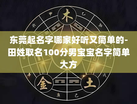 东莞起名字哪家好听又简单的-田姓取名100分男宝宝名字简单大方