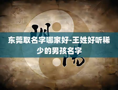 东莞取名字哪家好-王姓好听稀少的男孩名字