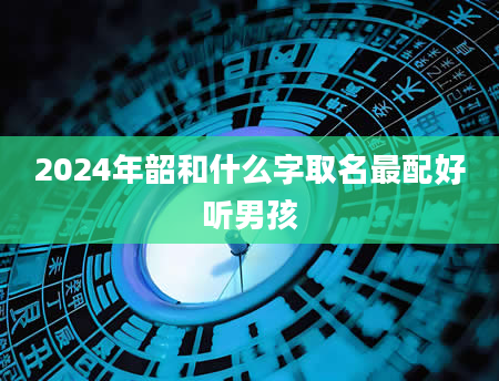 2024年韶和什么字取名最配好听男孩