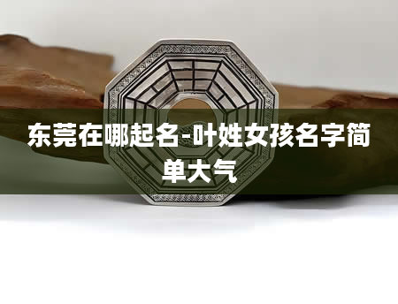 东莞在哪起名-叶姓女孩名字简单大气